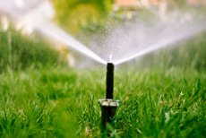 9 Common Lawn Care Mistakes Made in Indiana