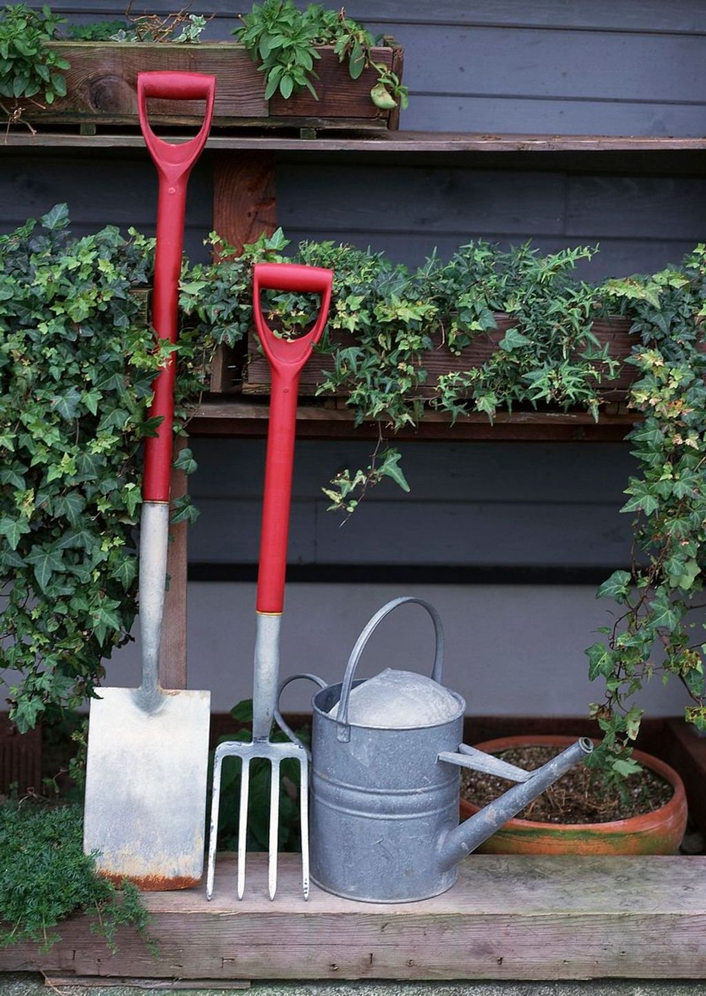 5 Essential Lawn Care Tools for Indiana Homeowners