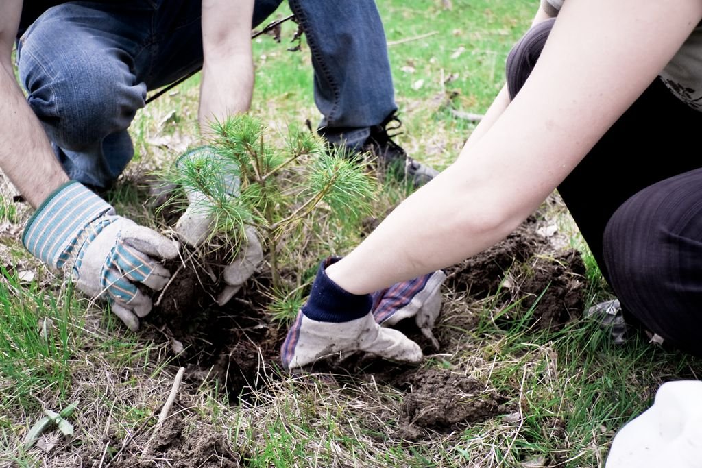 5 Lawn Care Tips to Boost Your Indiana Home’s Value