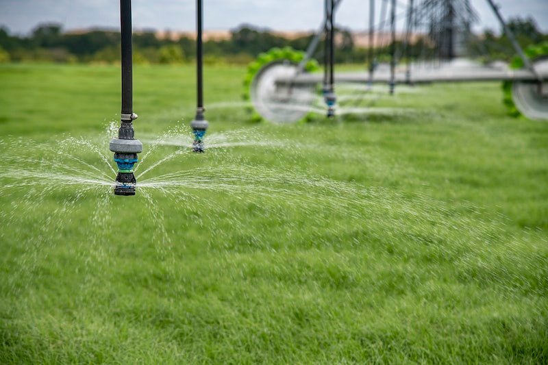 8 Best Practices for Watering Your Indiana Lawn