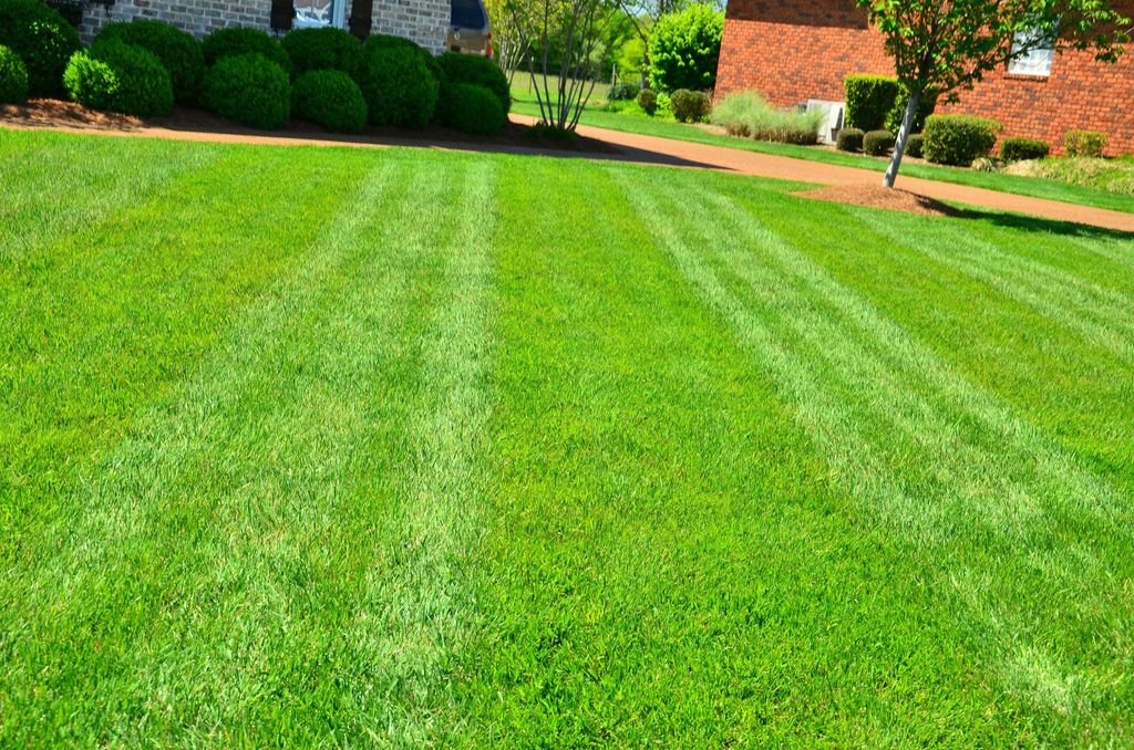 4 Essential Indiana Lawn Care Tips for Beginners