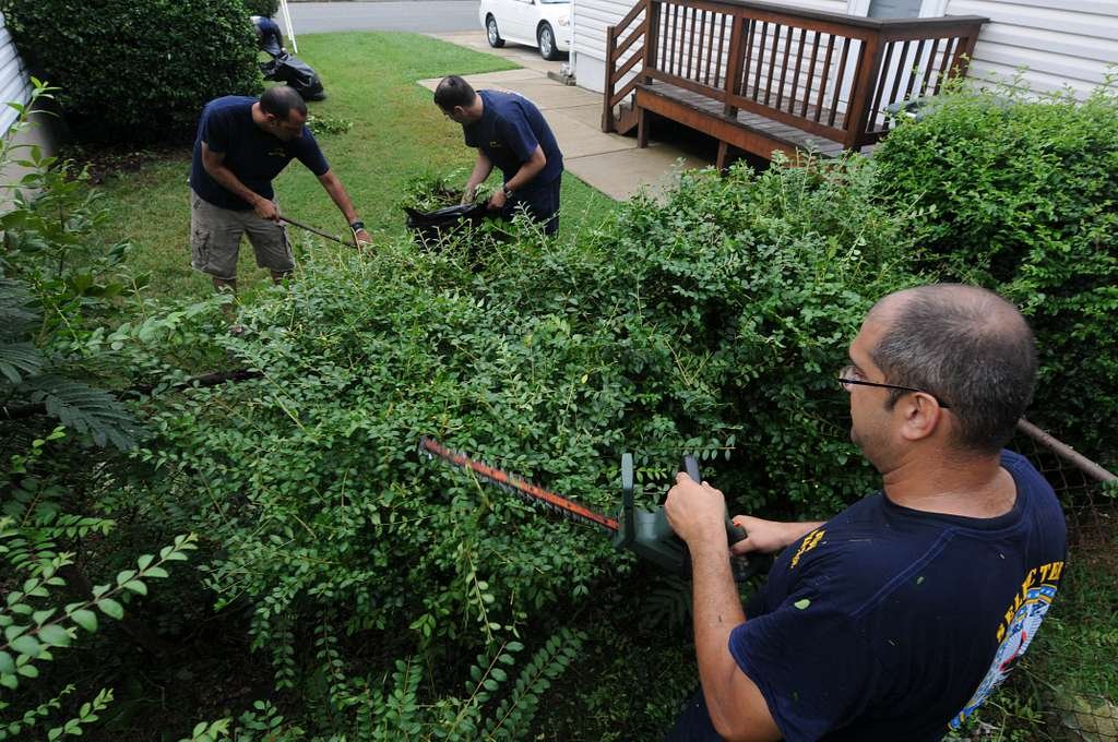 4 Essential Lawn Care Tasks for Summer in Indiana