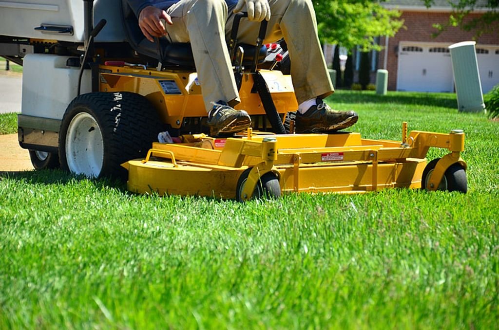 8 Steps to Create a Low-Maintenance Lawn in Indiana