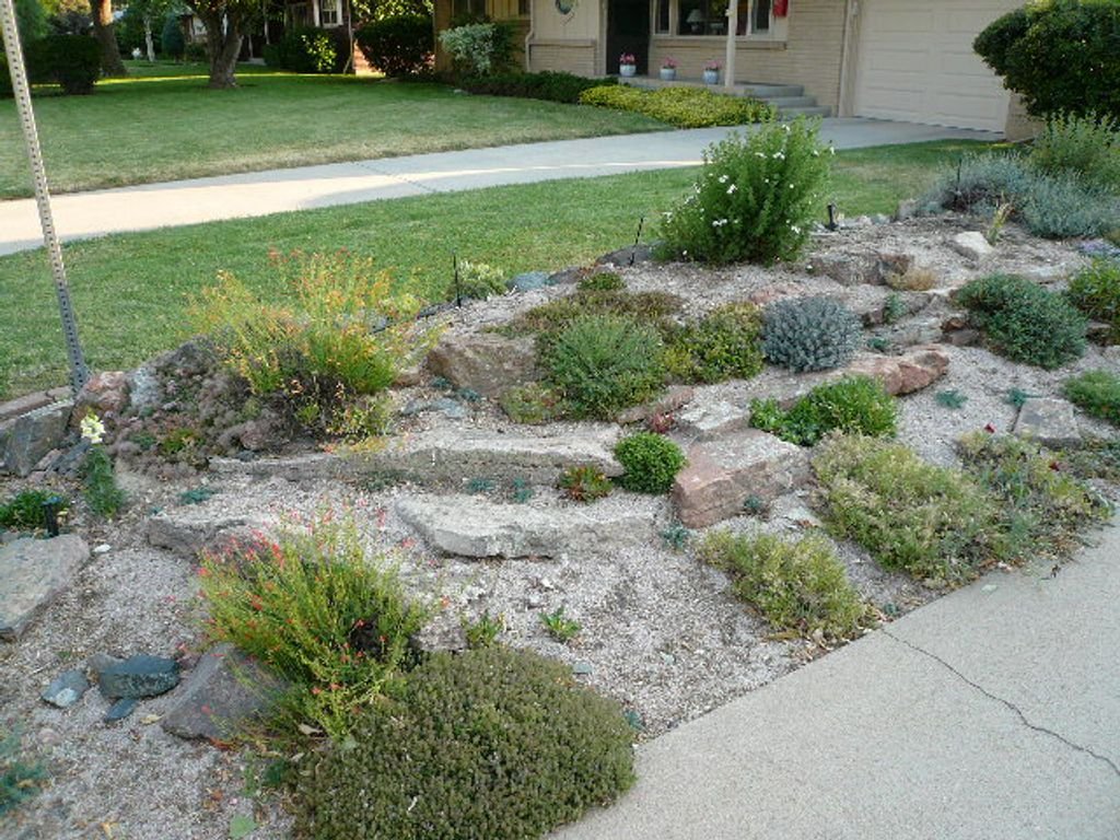 8 Steps to Create a Low-Maintenance Lawn in Indiana