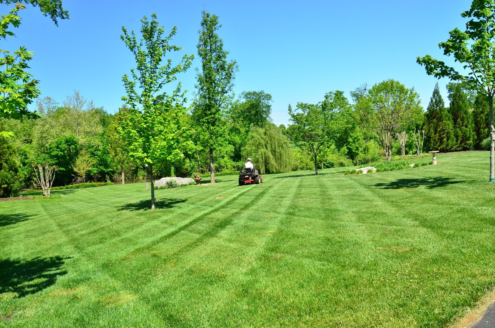 6 Essential Tools for Indiana Lawn Maintenance