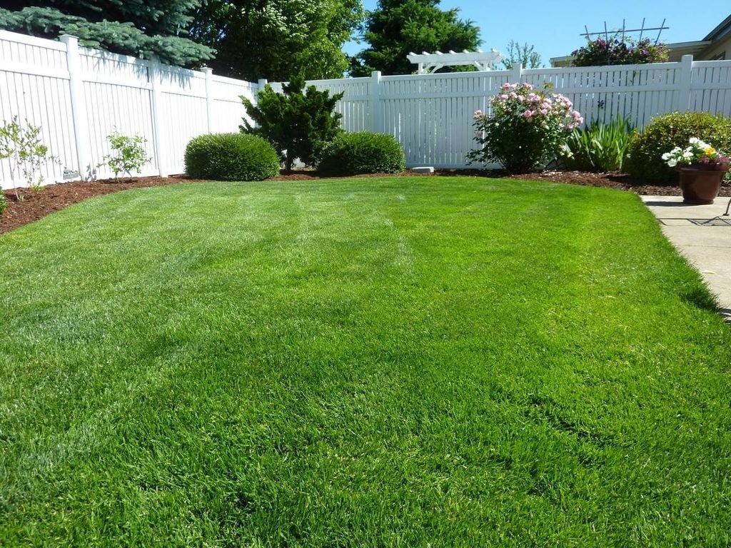 4 Top Lawn Care Services in Indiana Reviewed