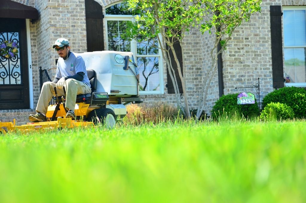 4 Essential Lawn Care Tasks for Summer in Indiana